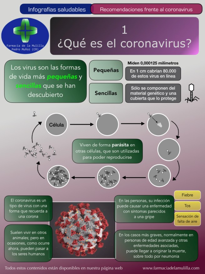Infografia Coronavirus 1 - ¿Qué es el coronavirus?.001