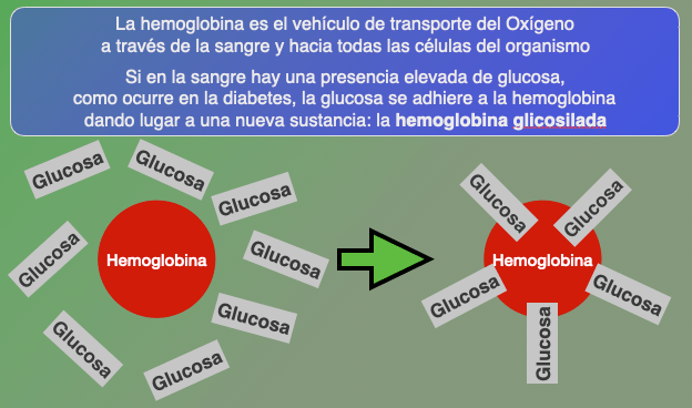 Captura de pantalla 2021-03-06 a las 19.47.46